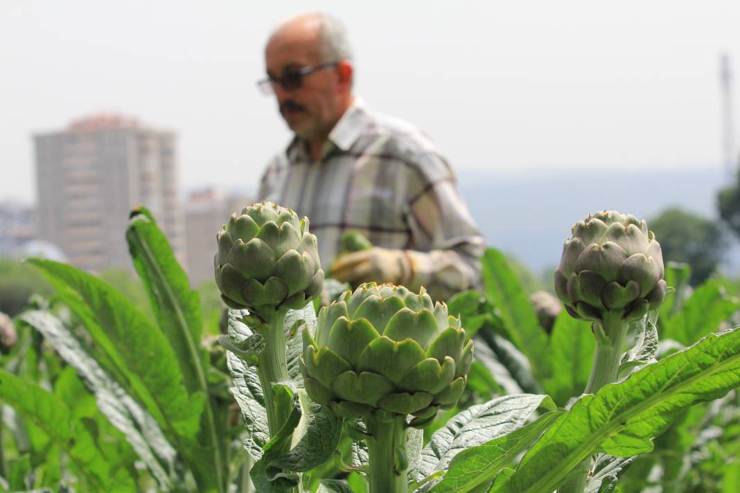 Şubatta sıraya girenler göbeğini 70 liradan alıyor 6